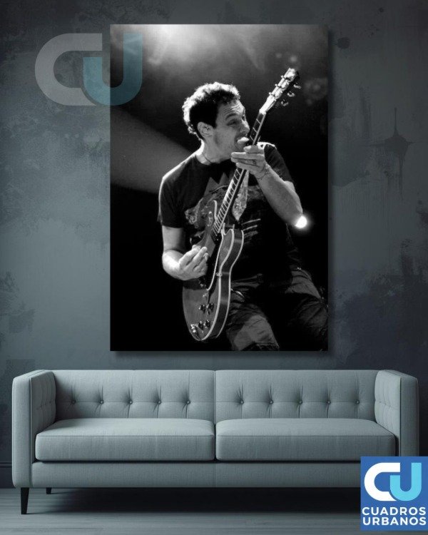 Producto - Divididos 9