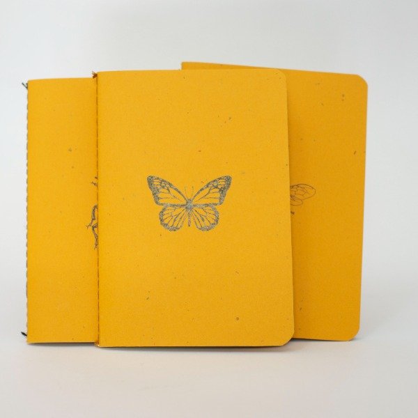 Producto - CARINO - COLECCION - 0
