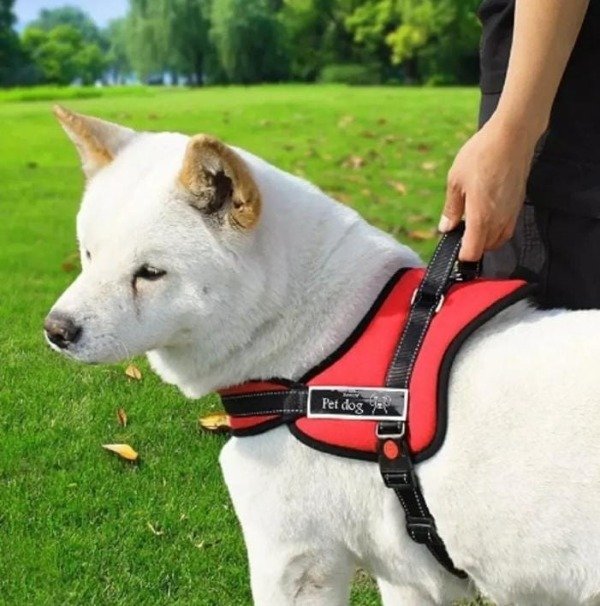 Producto - Pechera Para Perros Arnés Pretal Anti Tirones Acolchado K8#13990