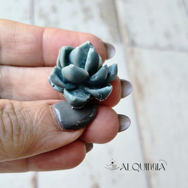 Producto - Molde Suculenta 3230