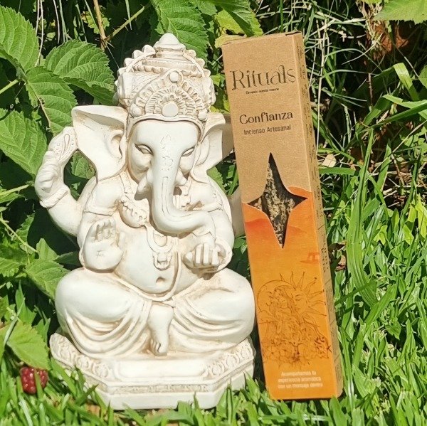 Producto - Confianza