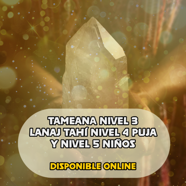 Producto - TAMEANA NIVEL 3 LANAJ TAHÍ NIVEL 4 PUJA Y NIVEL 5 NIÑOS