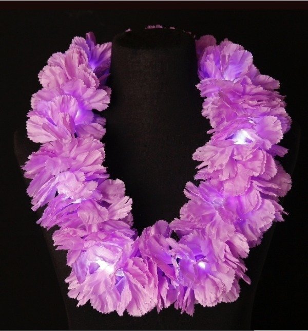 Producto - Collar XL Led x 10