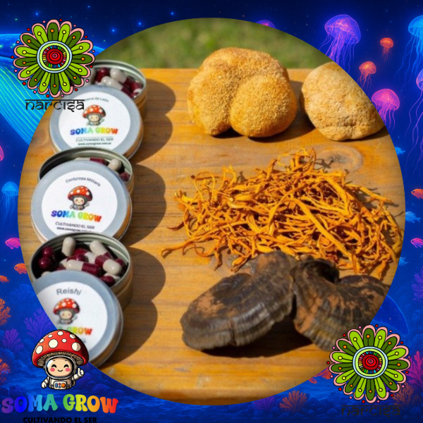 Producto - Microdosis Hongos Adaptógenos