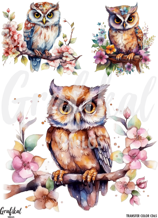 Producto - TransferColor 15x20 065