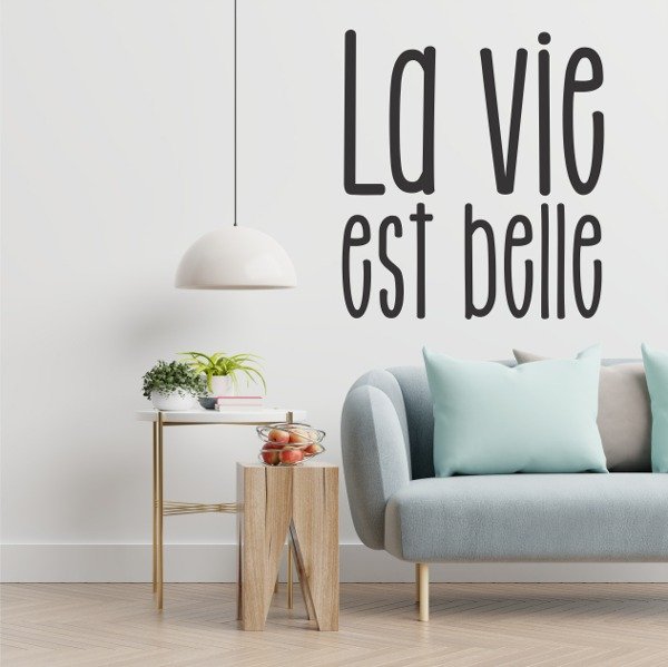 Producto - La vie est belle