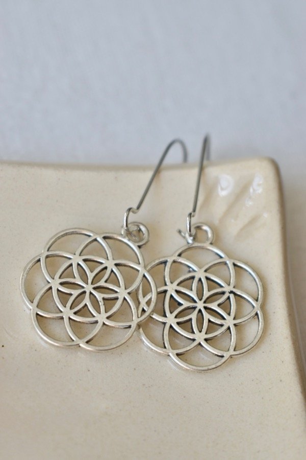 Producto - Aritos Semilla