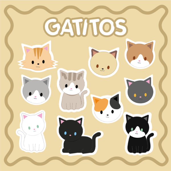 Producto - Gatitos