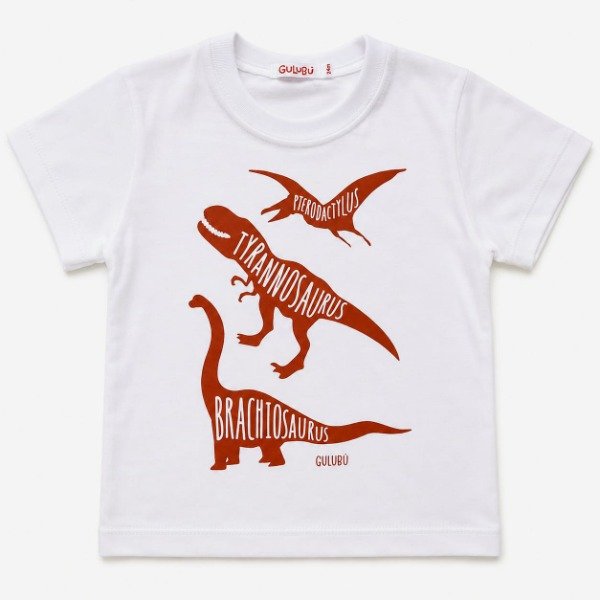 Remera Discontinua.REX
