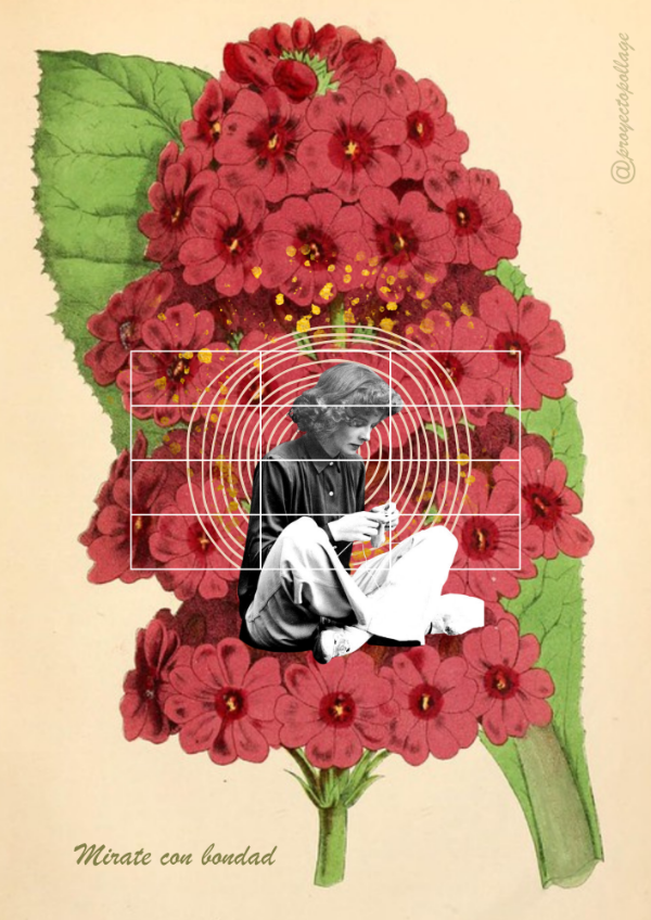 Producto - Mirate con bondad