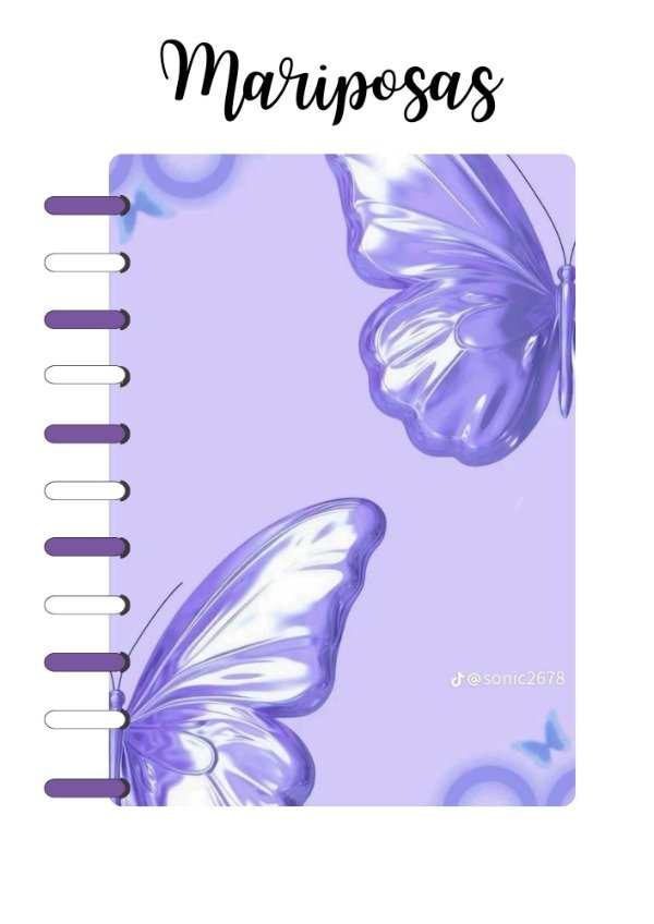 Producto - Cuadernillo Mariposas