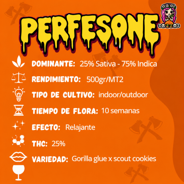 Producto - SEMILLA SPARTAN PERFESONE - 0