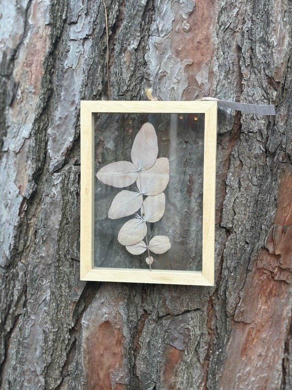 Producto - Cuadro Natura 13x18