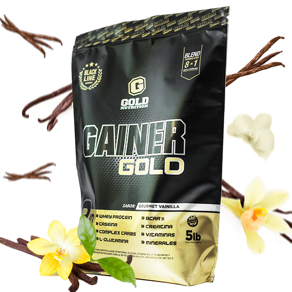 Producto - Gainer 2.5kg GOLD - 0