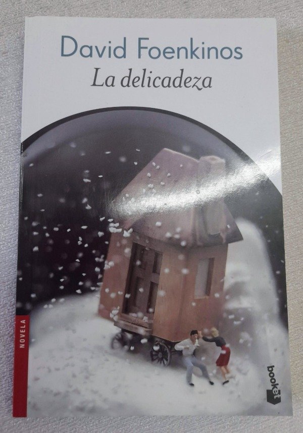 Producto - La Delicadeza - David Foenkinos - Booket Novela