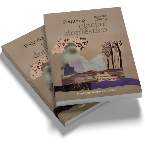 Producto - PREVENTA - Pequeño glaciar dómestico - Daniela Noceti - 6