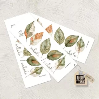 Producto - Transfer UV 024