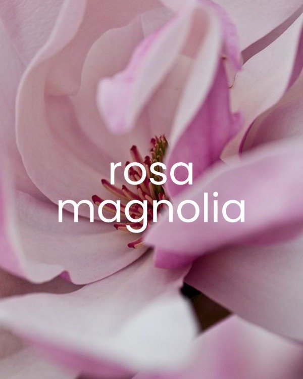 Producto - Esencia Rosa Magnolia