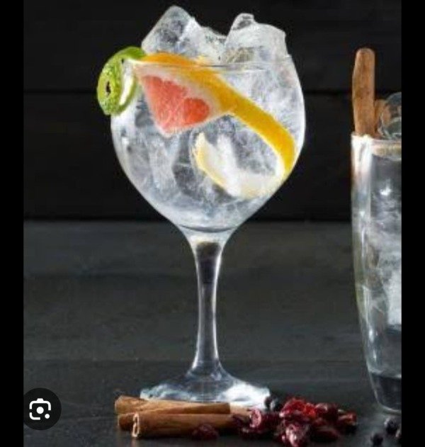 Producto - COPA GIN TONIC