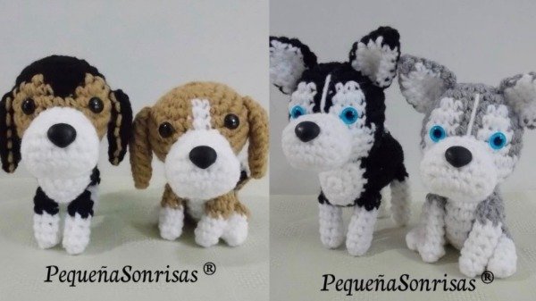 Producto - Perros - 4