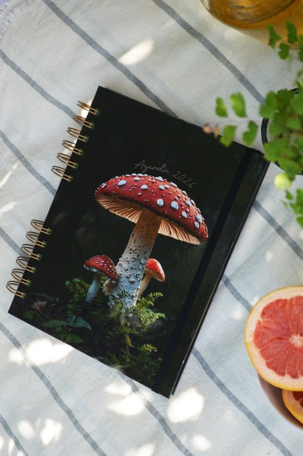 Producto - Hongo [Agenda tradicional]