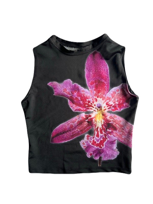 Producto - Top Orquideas