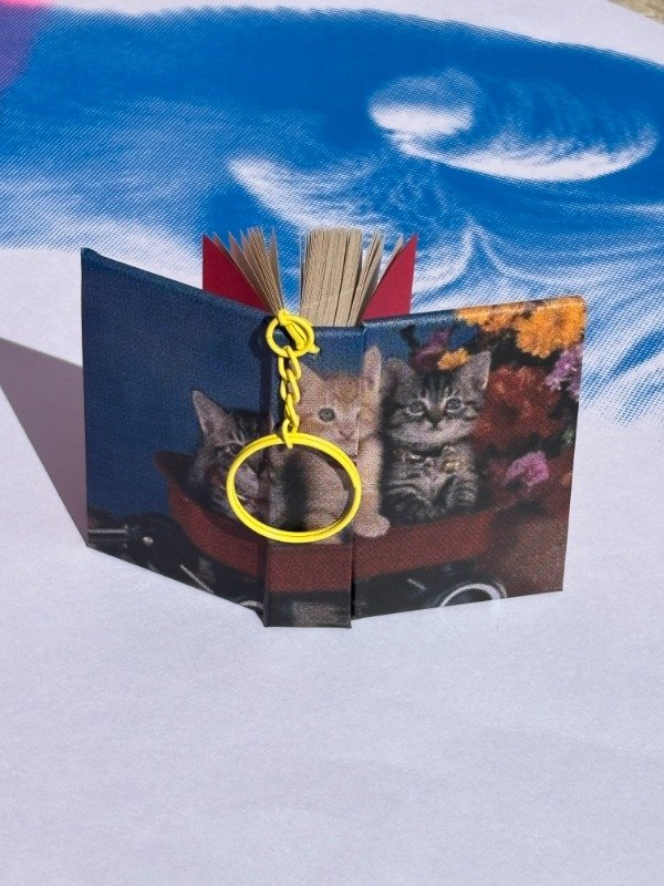 Producto - Gatitos en carretilla - 0