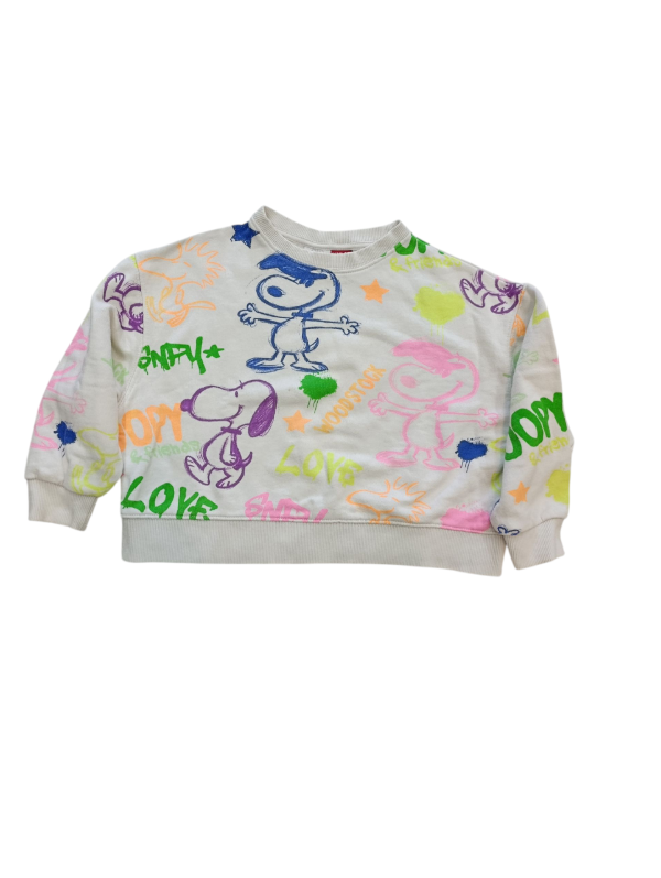 Producto - Buzo Zara Snoopy (colores)