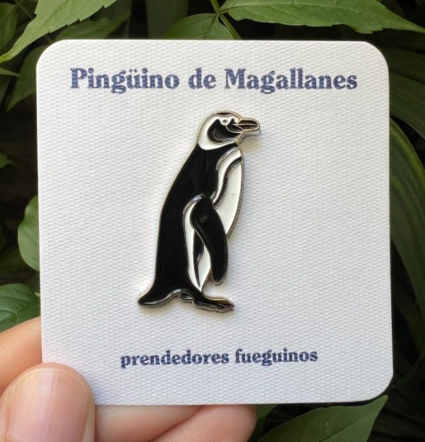 Producto - Pingüino de Magallanes