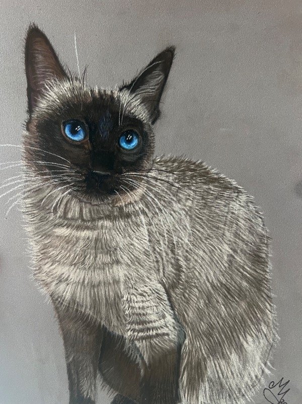 Producto - Retrato de mascota con pastel tiza - 8