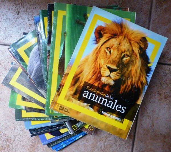 Producto - ENCICLOPEDIA DE LOS ANIMALES Nros. 1 a 20 -  NATIONAL GEOGRAPHIC  - 2011