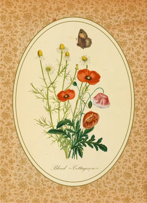 Producto - Blend de Semillas "Cottagecore"