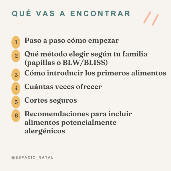 Producto - Guia de Alimentación complementaria - 1