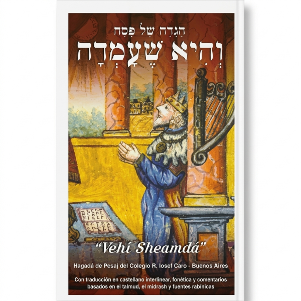 Producto - VEHI SHEAMDA