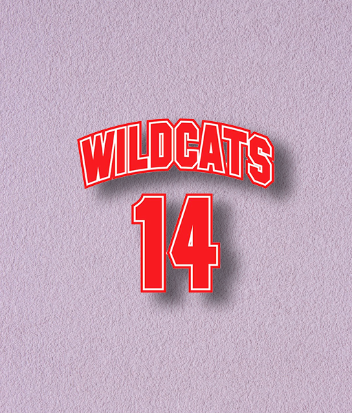 Producto - STICKER HOLOGRÁFICO - WILDCATS