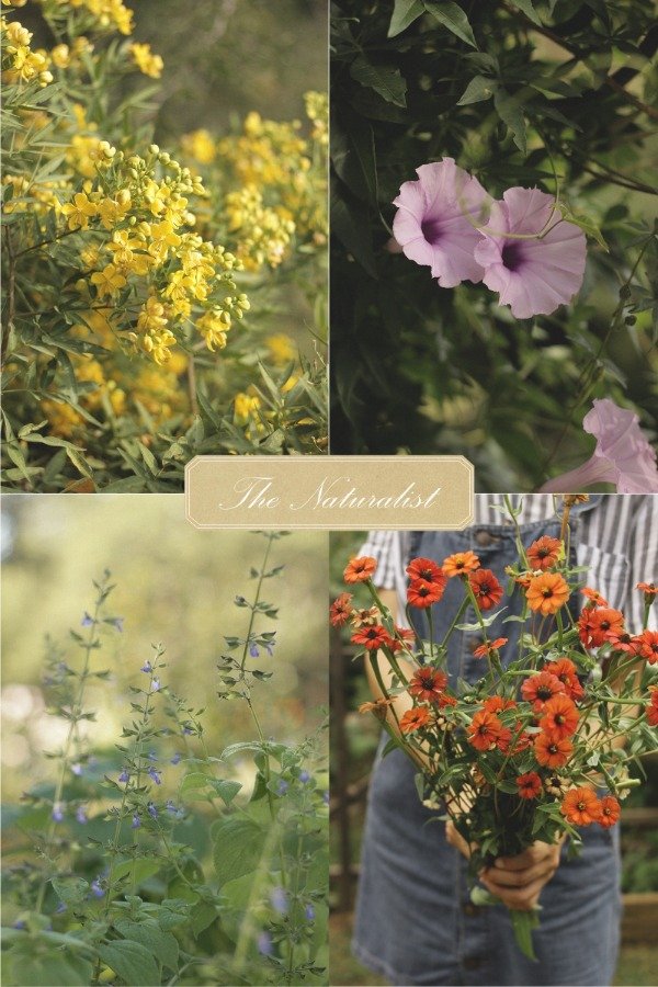 Producto - Combo de Semillas "The Naturalist" - 0