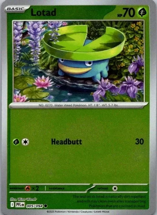 Producto - Lotad (005/094) Reverse Holo [Mega Evolution: Phantasmal Flames]