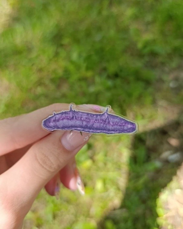Producto - Pin Batatita
