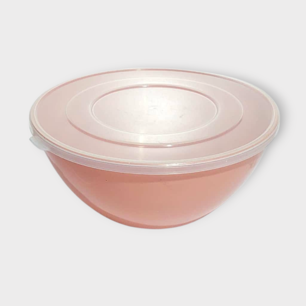 Producto - Bowl con tapa 23cm