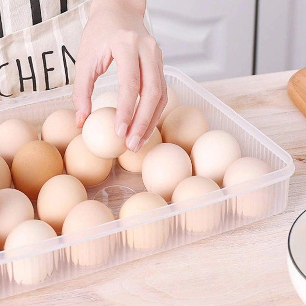 Producto - HUEVERA DE PLÁSTICO CON TAPA