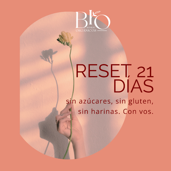 Producto - Reset 21/E-Book  y recetas