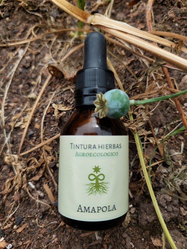 Producto - Tintura madre Amapola