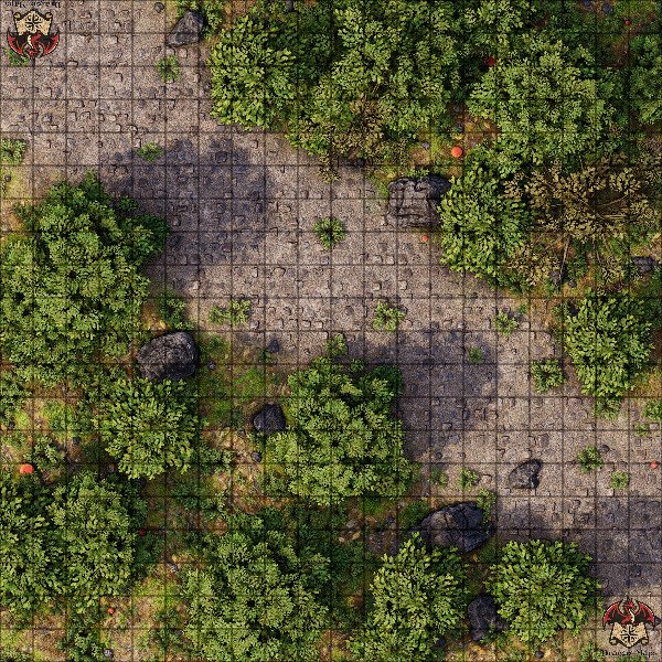 Producto - Camino en el bosque 2