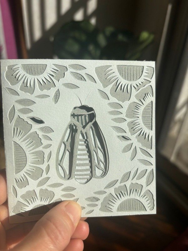 Producto - Chicharra celeste