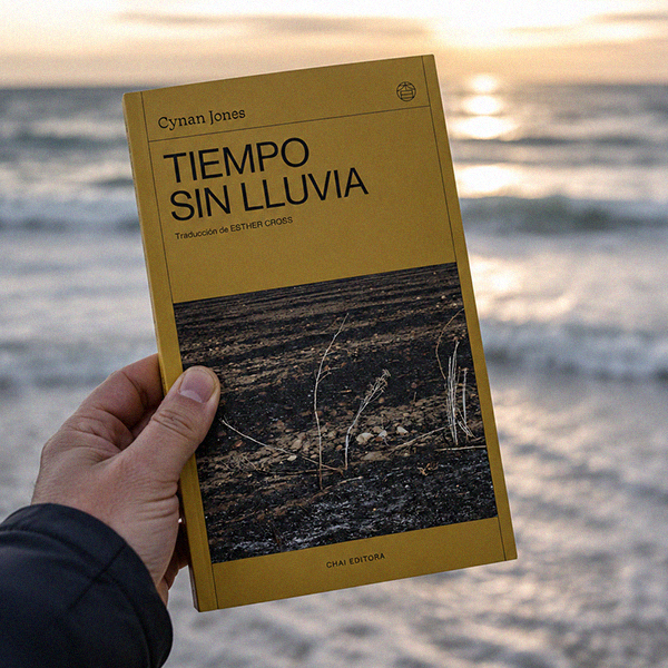 Producto - Tiempo sin lluvia - Cynan Jones
