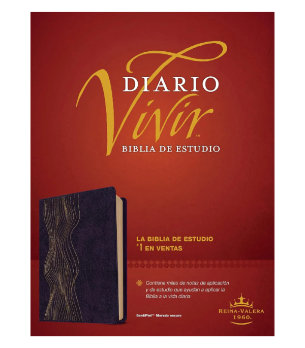 Producto - BIBLIA DIARIO VIVIR DE ESTUDIO RVR IMITACIÓN PIEL MORADO OSCURO
