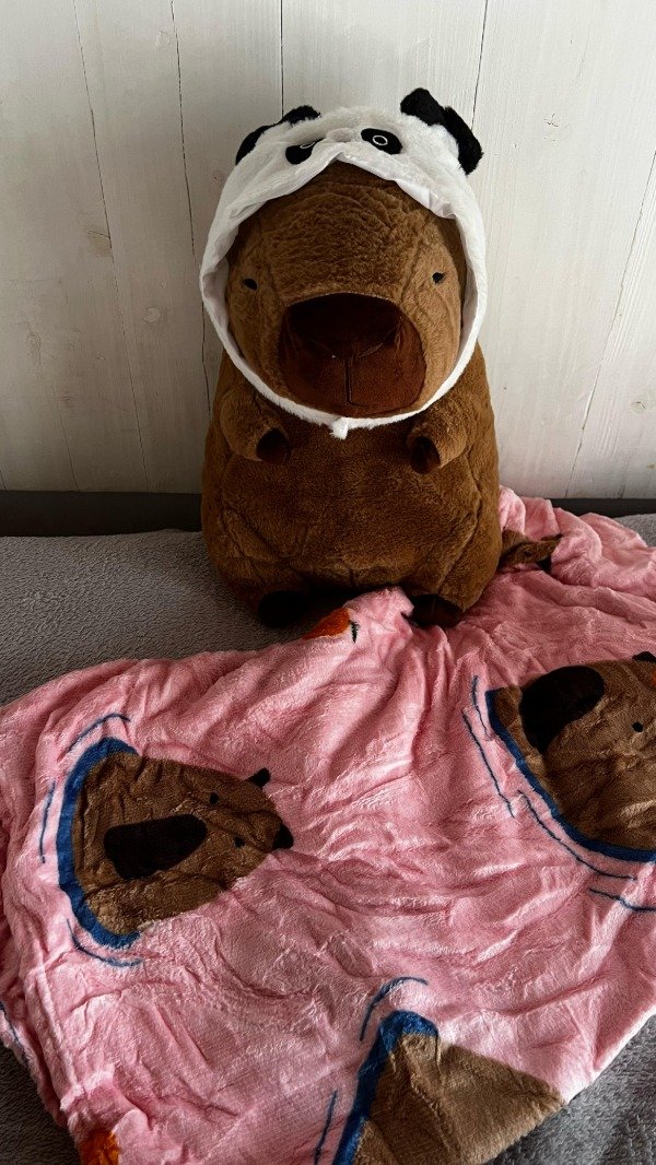 Producto - Peluche con manta Capibara