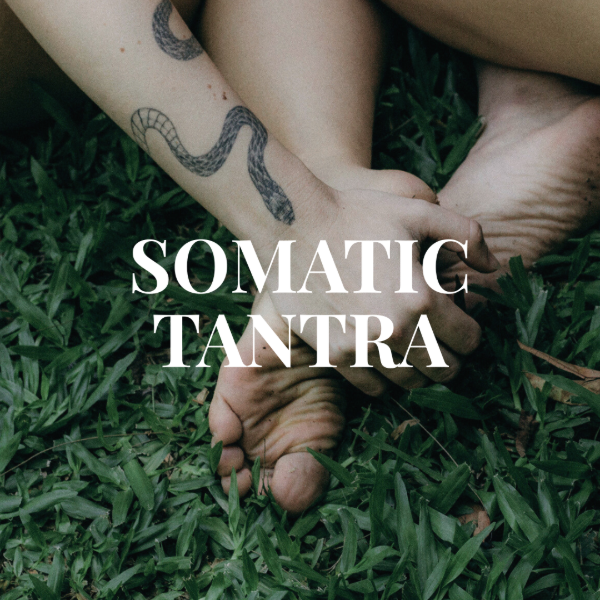 Producto - Micropráctica Semanal Somatic Tantra (Online)