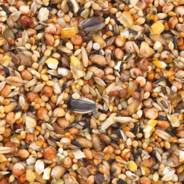 Producto - Mix aves grandes 1 Kg