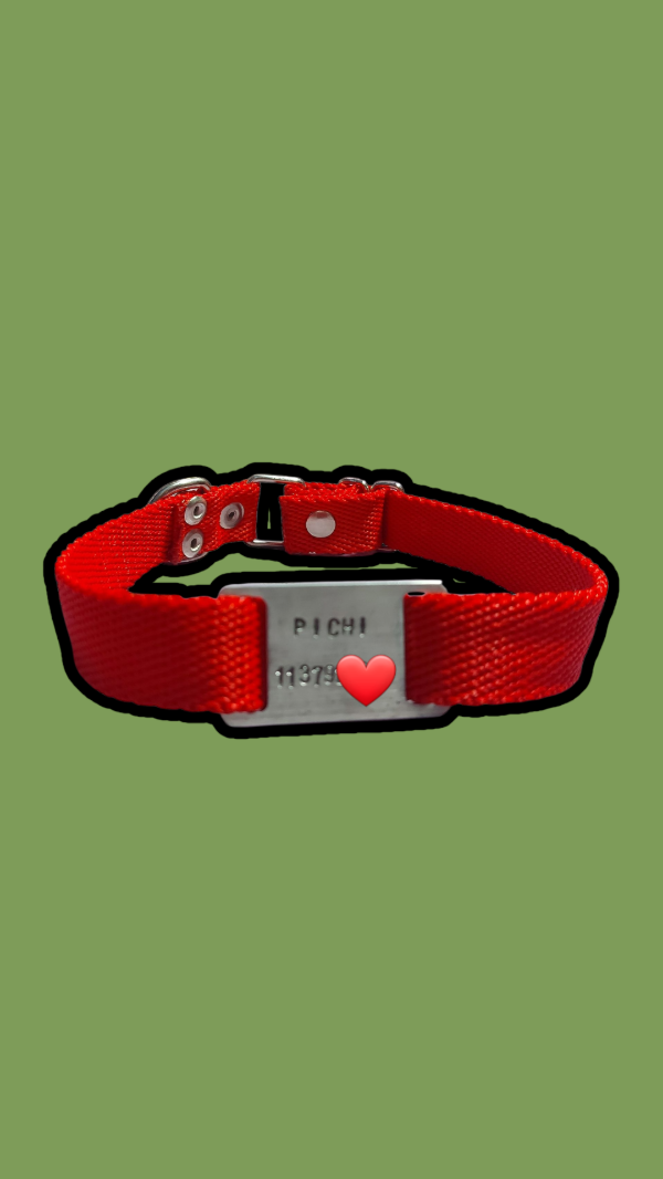 Producto - Conjuntos Id. Personalizados Chapita Clásica y a Color -S/Gancho- Med